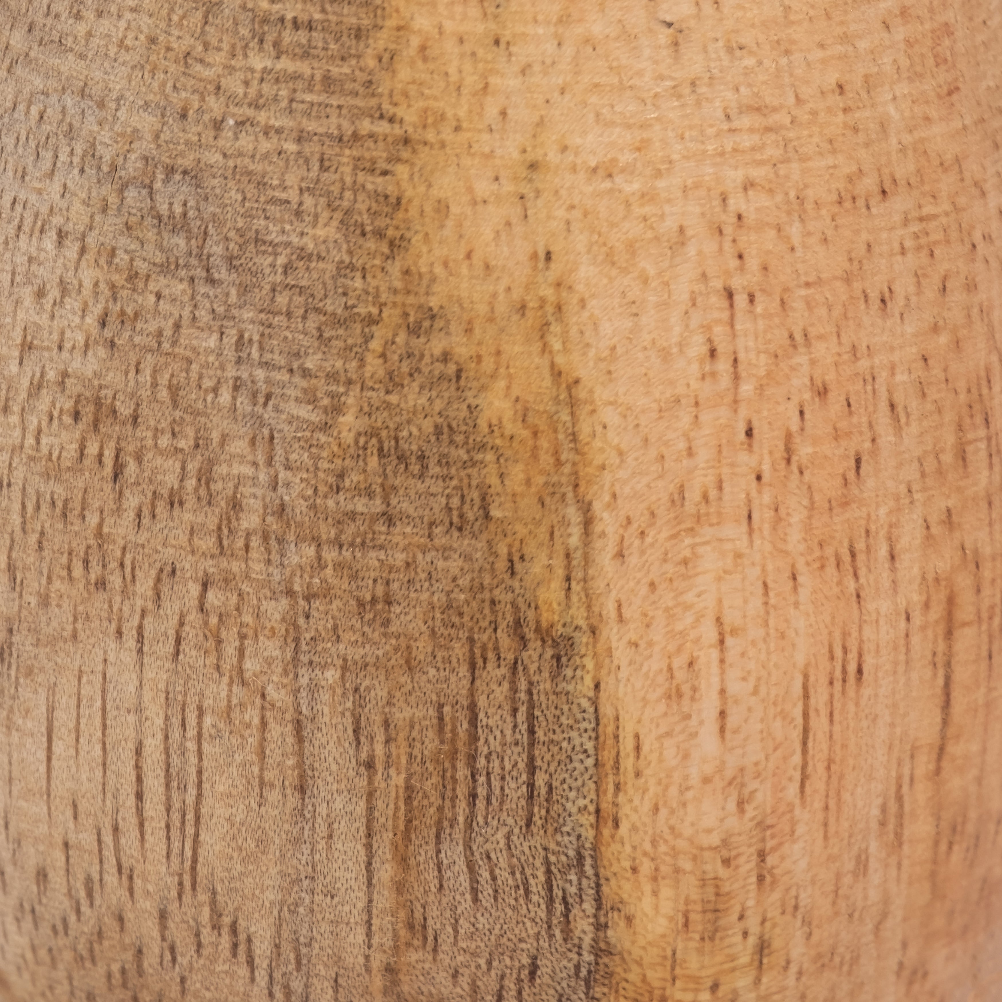 Woodland Wonder: Burnt Orange Coned Wood Mushroom (6")